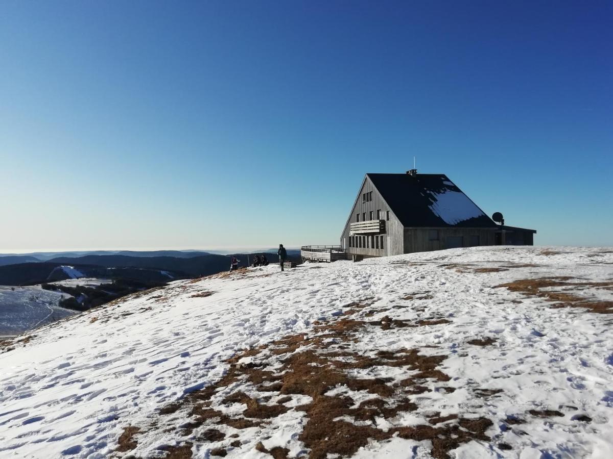 Apartmán Hameau Des Chaumes Vue Panoramique La Bresse Exteriér fotografie